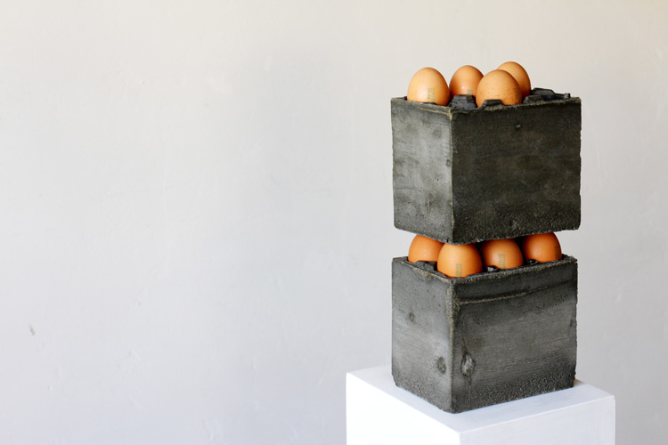 packaging for eggs